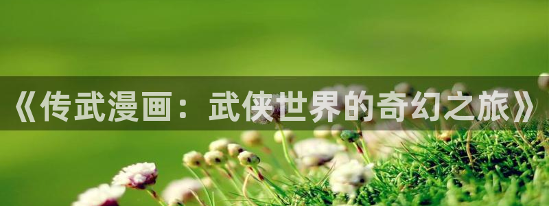 歪歪漫画韩国漫：《传武漫画：武侠世界的奇幻之旅》